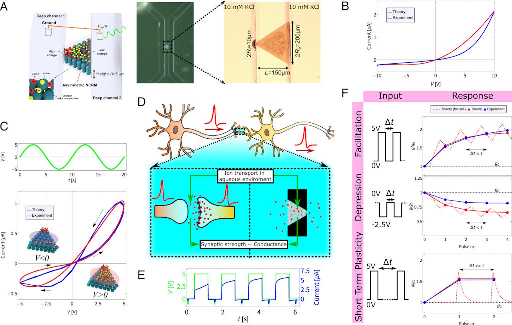 Representación esquemática del funcionamiento del cerebro electrónico basado en agua y sal