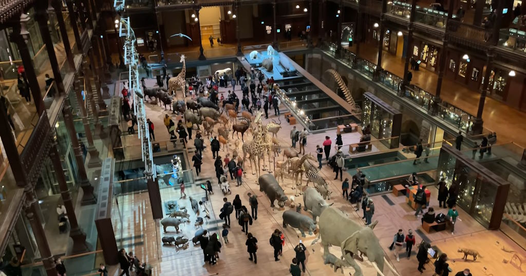 París - Museo Nacional de Historia Natural - Galería de la evolución - Hall principal