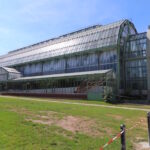 París – Museo Nacional de Historia Natural – invernadero en el Jardin des Plantes