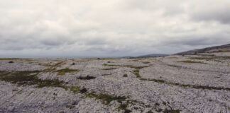 El Burren, con su combinación de paisajes kársticos, flora diversa y monumentos antiguos, es un destino que no se parece a ningún otro en Irlanda. Este lugar mágico e inusual ofrece una ventana al pasado remoto del país, a la vez que invita a los viajeros a explorar sus misterios y disfrutar de su belleza natural.