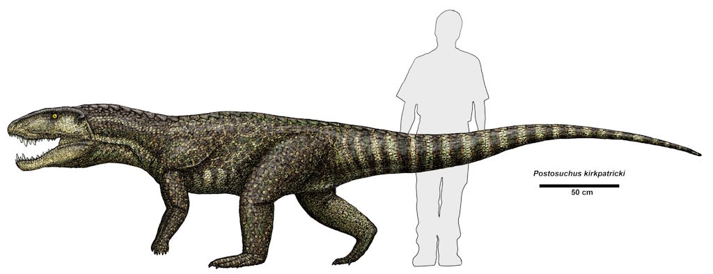 Recreación de un Postosuchus kirkpatricki en comparación con un humano