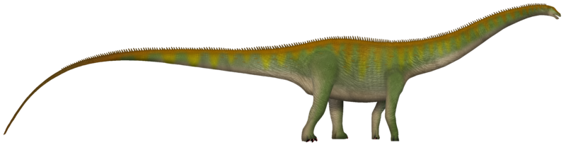 Diplodocus (Wikipedia)