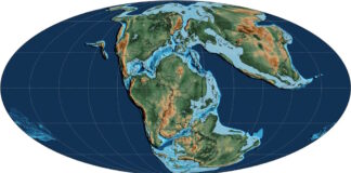 Mapa paleogeográfico del Jurásico tardío (hace ~152 millones de años) con la distribución de continentes (marrón) y mares someros (azul claro) (Wikipedia, la enciclopedia libre)