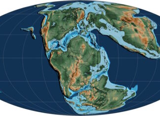 Mapa paleogeográfico del Jurásico tardío (hace ~152 millones de años) con la distribución de continentes (marrón) y mares someros (azul claro) (Wikipedia, la enciclopedia libre)